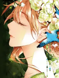 全能影视漫画折叠的城市